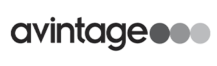 Logo-avintage-300x86